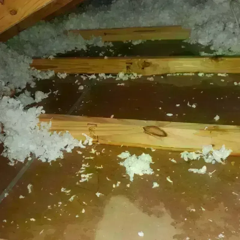 Attic Water Damage in East York, PA